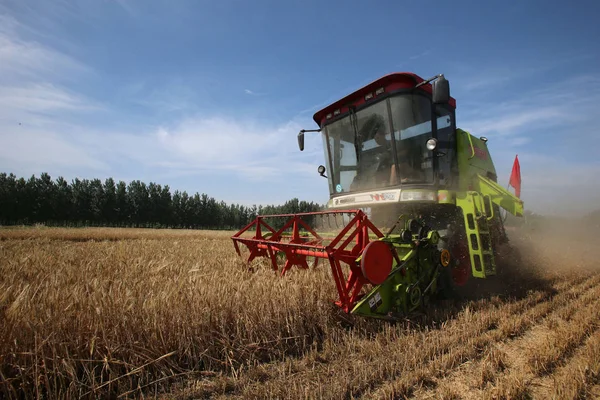 Agricultor Chino Conduce Una Cosechadora Para Cosechar Trigo Campo Aldea —  Fotos de Stock