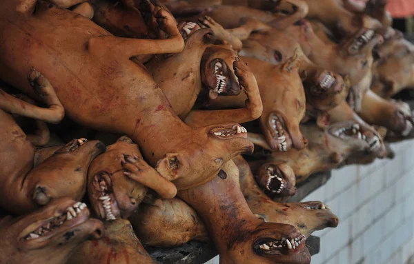 2012年6月21日 在中国南方广西壮族自治区玉林市的一个自由市场上出售被杀和食用的狗 — 图库照片