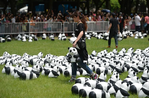 Membros Equipe Colocaram Pandas Papel Criados Pelo Artista Francês Paulo — Fotografia de Stock