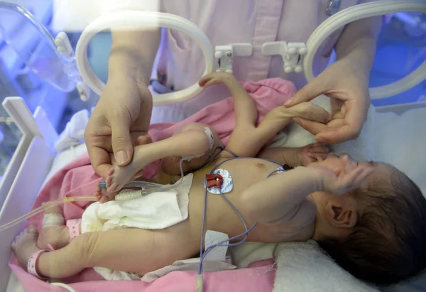 Nurse Attends Newborn Baby Boy Hands Feet Being Kept Incubator — Stock Photo, Image