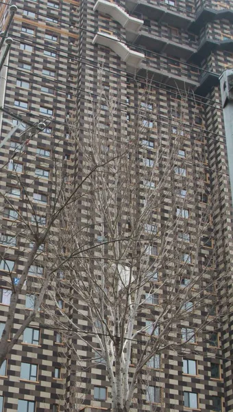 2014年4月10日 辽宁省东北沈阳市一座经过检查的高层公寓楼的外观设计 — 图库照片