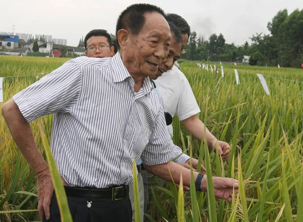 Scienziato Cinese Yuan Longping Noto Come Padre Del Riso Ibrido — Foto Stock
