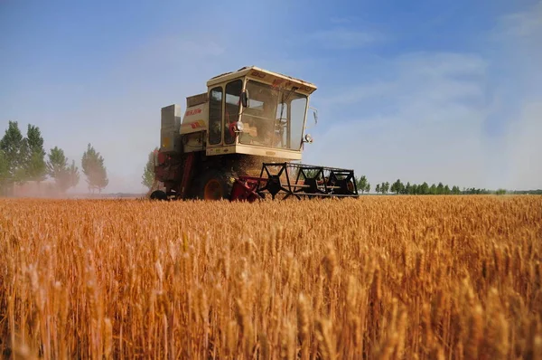 中国の農家は 平津里村 シェキ郡 南陽市 中央中国河南省 2014年5月25日の畑で小麦を収穫する収穫機を運転します — ストック写真