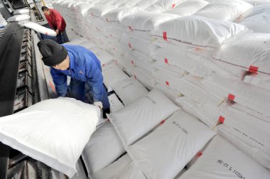 Chinese workers unload sacks of urea from the conveyor belt at a chemical fertilizer plant of CNPC (China National Petroleum Corporation) in Tarim, northwest Chinas Xinjiang Uygur Autonomous Region, 11 February 2014 clipart