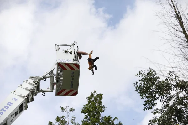 Bombero Una Escalera Aérea Atrapa Una Cola Pandas Rojos Barrio —  Fotos de Stock