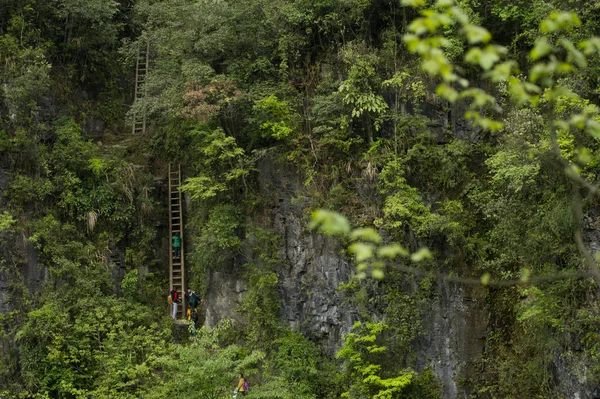 Θέα Των Ατόμων Που Σκαρφαλώνουν Δύο Κάθετες Ξύλινες Σκάλες Βαθιά — Φωτογραφία Αρχείου