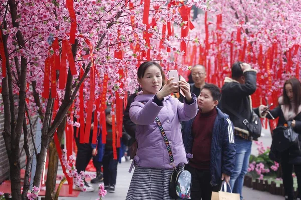 People Visit Corridor Decorated Peach Flower Mark Upcoming Spring Festival — стоковое фото