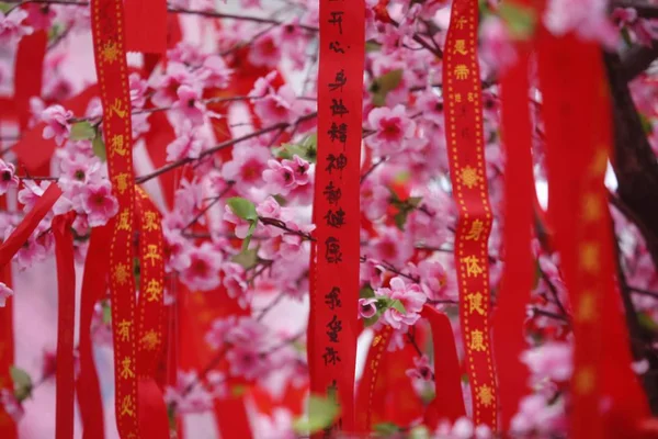 People Visit Corridor Decorated Peach Flower Mark Upcoming Spring Festival — Stock Photo, Image