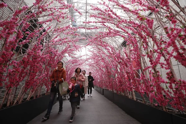 Pessoas Visitam Corredor Decorado Com Flor Pêssego Para Marcar Próximo — Fotografia de Stock