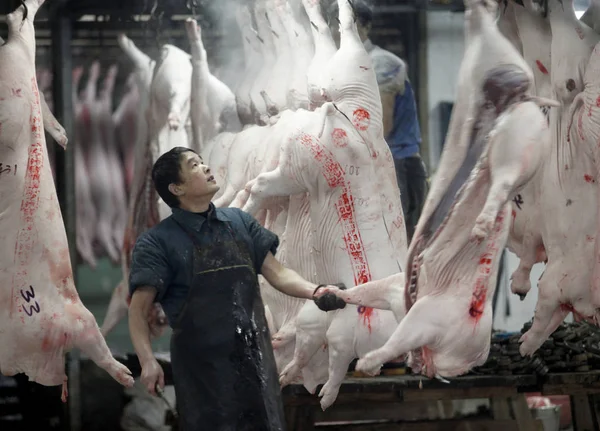 Ένας Κινέζος Εργαζόμενος Σκότωσε Χοίρους Ένα Σφαγείο Στην Πόλη Χαντάγκ — Φωτογραφία Αρχείου
