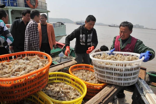 Trabalhadores Chineses Descarregar Camarão Barco Pesca Porto Cidade Zhoushan Leste — Fotografia de Stock