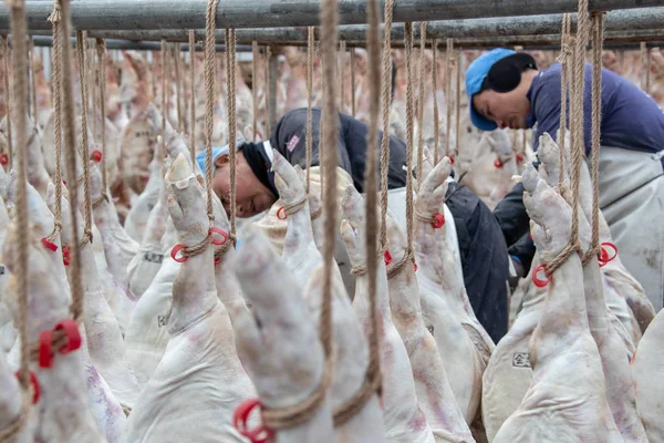 Jinhua Kentinde Bir Fabrikada Çinli Işçiler Hava Geleneksel Hams Doğu — Stok fotoğraf