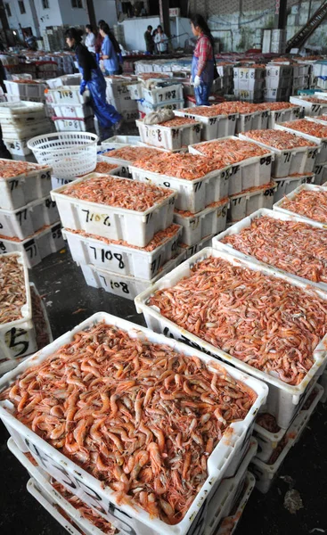 Baskets Shrimp Sale Aquatic Market Taizhou City East Chinas Zhejiang — Stock Photo, Image