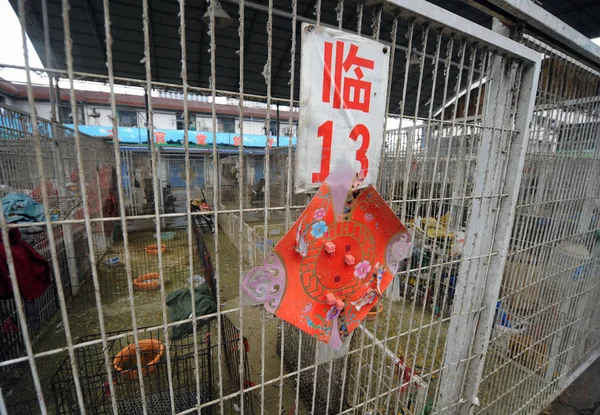 Üres Coops Látható Egy Blokkolt Baromfi Piacon Sanghajban Kínában Április — Stock Fotó