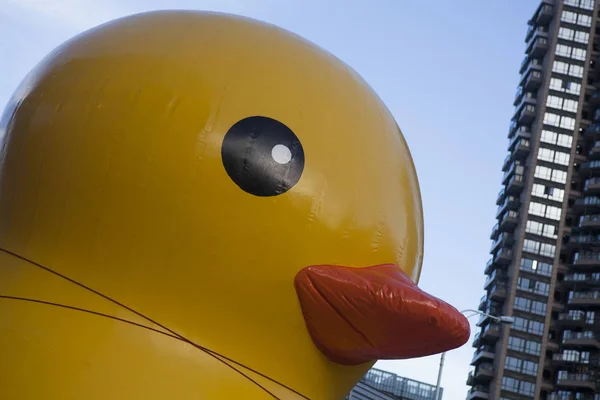 Pato Amarillo Inflable Que Cree Que Clon Del Hong Kong — Foto de Stock