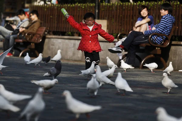 若い女の子が上海の人民広場で鳩と遊ぶ 2013 — ストック写真