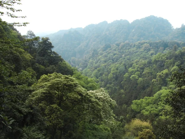 View Mount Qingcheng Dujiangyan City Southwest Chinas Sichuan Province May — Stock Photo, Image