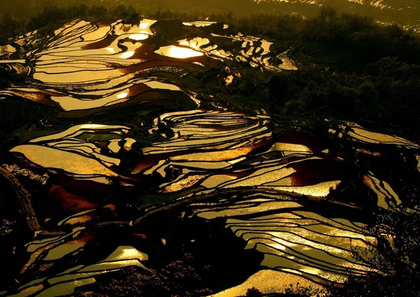 Vue Des Rizières Terrasses Dans Comté Yuanyang Préfecture Autonome Honghe — Photo