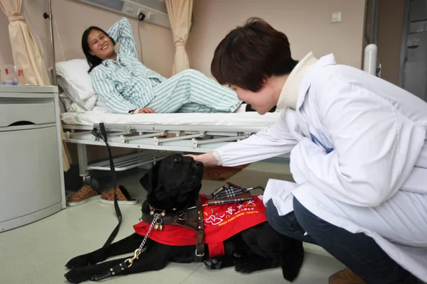 File Medico Tocca Cieca Cinese Huang Mings Cane Guida Jiang — Foto Stock