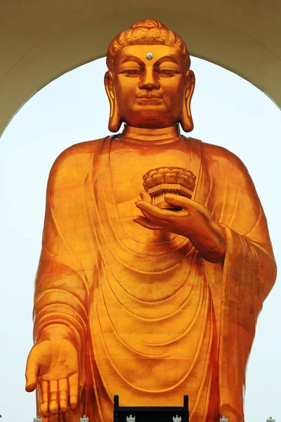 Nézd Világ Legmagasabb Buddha Szobor Donglin Buddha Után Kapott Aranyozott — Stock Fotó