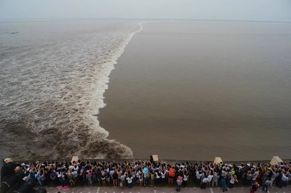 Gente Osserva Noie Mareali Dal Fiume Qiantang Lungo Argine Haitang — Foto Stock