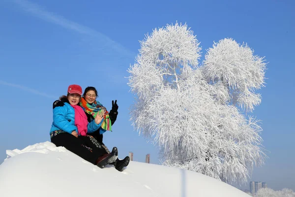 2014년 12월 지린성 북동부 지린시의 송화강을 라임으로 앞에서 포즈를 취하고 — 스톡 사진