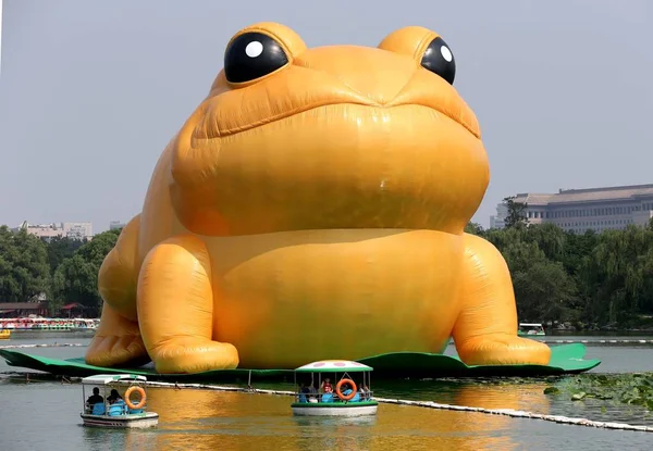 Meter Tall Golden Fabric Frog Displayed Yuyuantan Park Beijing China — Stock Photo, Image