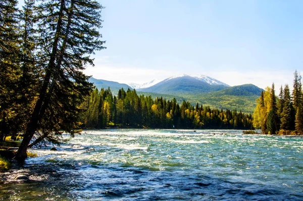 Bieżącą Wodą Przepływa Jeziorze Kanas Prefektura Altay Northwest Chinas Region — Zdjęcie stockowe