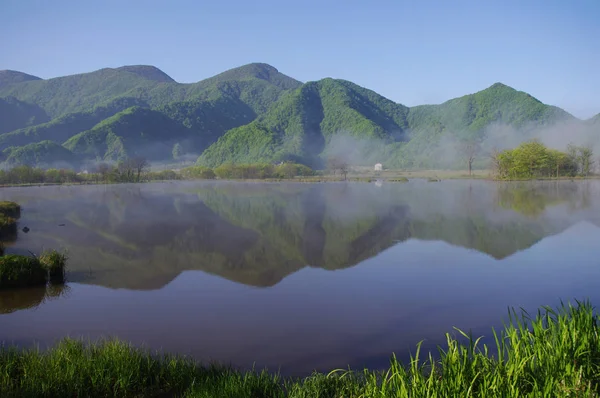 シェンノンチヤ 中央中国湖北省 2013 日のシェンノンチヤ山で神秘的な自然の風景 — ストック写真