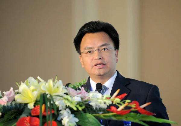 Wan Qingliang Majd Vice Kormányzója Guangdong Tartomány Beszél 2009 Globális — Stock Fotó