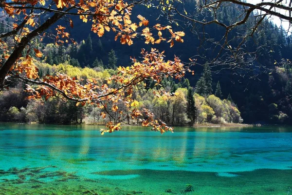 Krajobraz Jiuzhaigou Valley Powiecie Jiuzhaigou Aba Tybetańska Qiang Autonomicznej Prefekturze — Zdjęcie stockowe