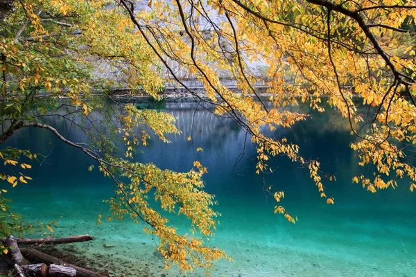 Paysage Lac Panda Dans Vallée Jiuzhaigou Automne Dans Comté Jiuzhaigou — Photo