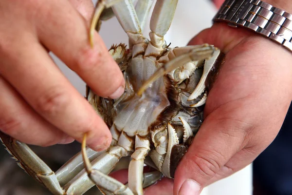 Vânzător Chinez Leagă Crab Păros Într Magazin Tongchuan Road Seafood — Fotografie, imagine de stoc