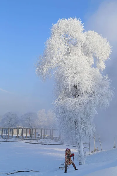 Návštěvník Prochází Řece Songhua Městě Jilin Severovýchodě Provincie Chinas Jilin — Stock fotografie