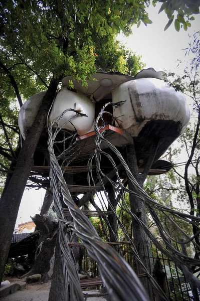 Uitzicht Bird Nest Boomhut Ontworpen Gebouwd Door Ouderen Hermit Yuezi — Stockfoto