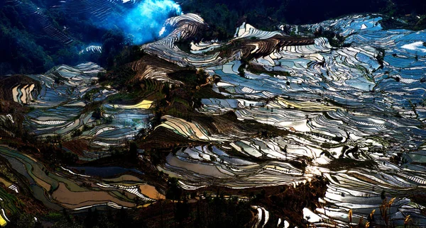 Manzara Teraslı Pirinç Alanlarındaki Honghe Hani Pirinç Terasları Bir Unesco — Stok fotoğraf