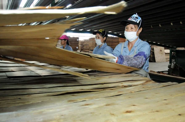 中国の女性労働者を作り出す上思県南中国広西チワン族自治区 2014 日の家具工場で合板 — ストック写真