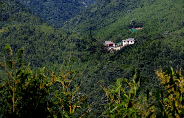 中国南西部四川省広安市の華寧山ジャイアントパンダ野生訓練基地の眺め 2014年8月21日 — ストック写真