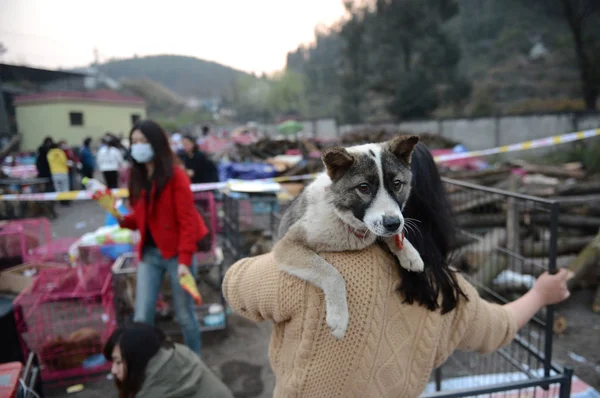 Ein Chinesischer Freiwilliger Hält Einen Geretteten Hund Bevor Ihn Den — Stockfoto