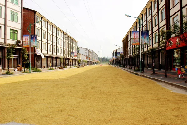Silnice Pokryta Rýží Městě Mingda Okresu Liangping Čchung Čching Čína — Stock fotografie