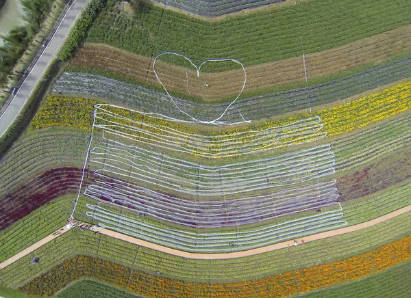 2014年9月24日 中国南西部の四川省成都市の景勝地にある花畑の長さ4 100メートルのウェディングドレスの航空写真 2014年9月24日 — ストック写真