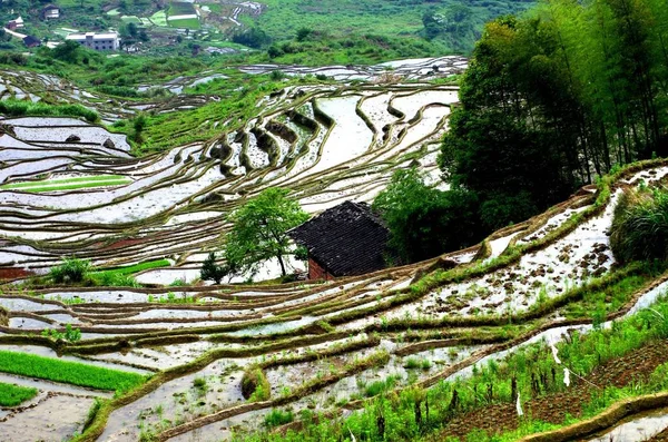 Vista Dos Campos Arroz Terraços Condado Youxi Cidade Sanming Leste — Fotografia de Stock