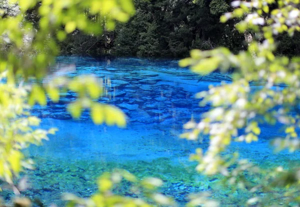 Пейзаж Jiuzhaigou Долини Jiuzhaigou County Aba Тибетських Цян Автономний Префектура — стокове фото