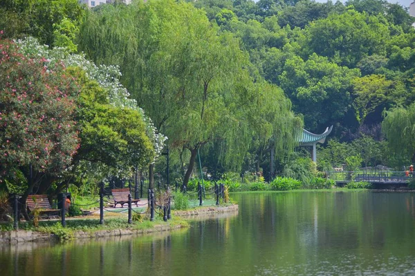 Des Arbres Des Lacs Sont Représentés Dans Parc Xun Shanghai — Photo