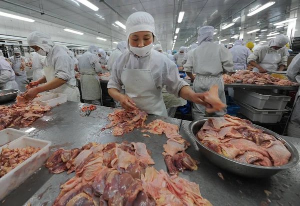 Китайські Робітники Процесу Курка Виробничій Лінії Заводі Xinchang Групи Rizhao — стокове фото