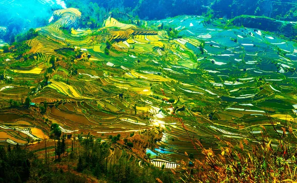 Landscape Terraced Rice Fields Honghe Hani Rice Terraces One Unesco — Stock Photo, Image