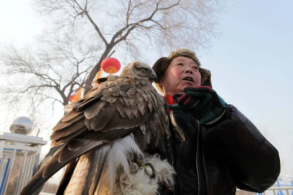 Chinese Hunter Shows His Falcon Second Manchu Falcon Hunting Cultural — Stock Photo, Image