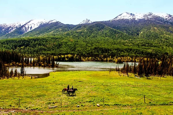 Les Gens Montent Cheval Travers Prairie Comté Habahe Préfecture Altaï — Photo