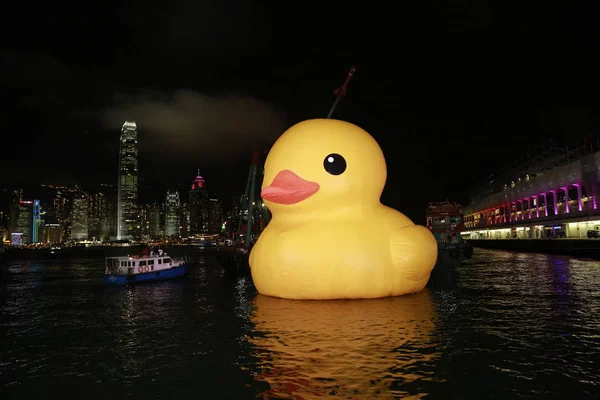 Night View Inflated Yellow Duck Skyline Central Hong Kong China — Stock Photo, Image