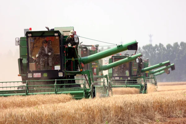Китайские Фермеры Ездят Машинах Сбора Урожая Пшеницы Поле Ферме Хуанфаньцюй — стоковое фото